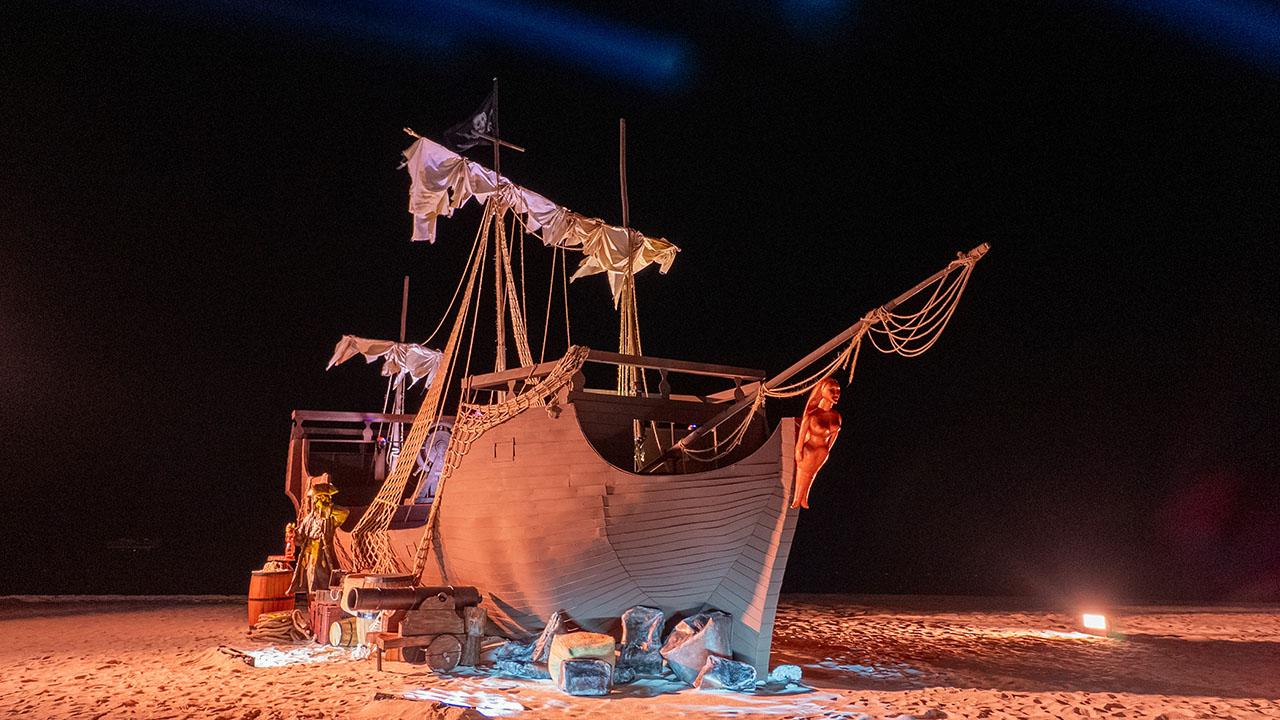 Pirate Dreams Come True