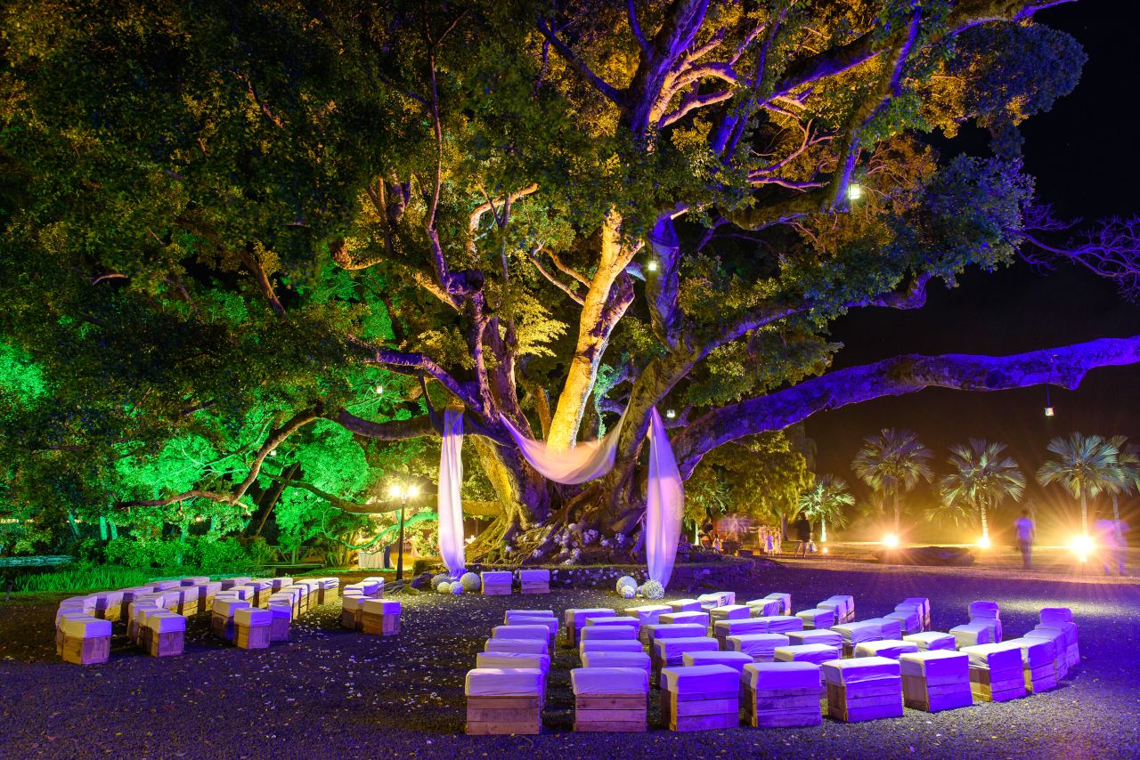 Crafting Lush Wedding Experiences…