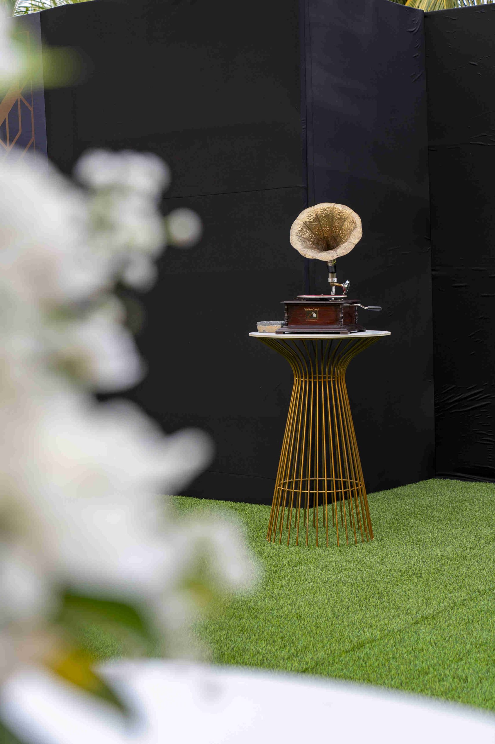 A vintage gramophone sits atop a tall, gold wire table on a green lawn. Blurred white flowers in the foreground, with a black backdrop creating contrast.