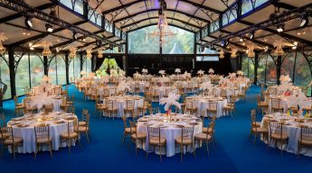 Elegant event space with blue carpet, round tables adorned with white tablecloths and feather centerpieces. Gold chairs add a touch of luxury.