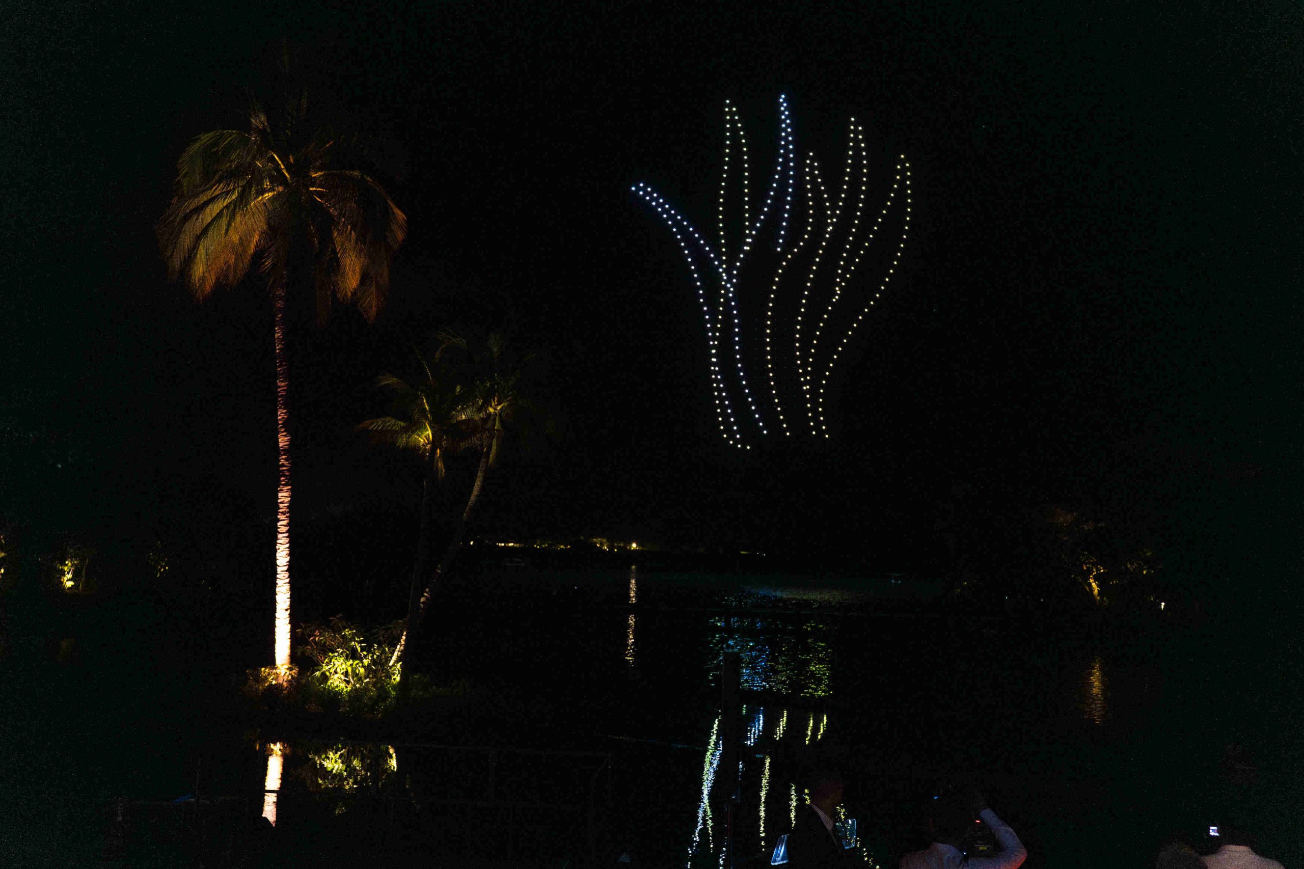 A night scene with palm trees and a body of water. Drones form a luminous, abstract plant shape in the sky, with reflections on the water below.