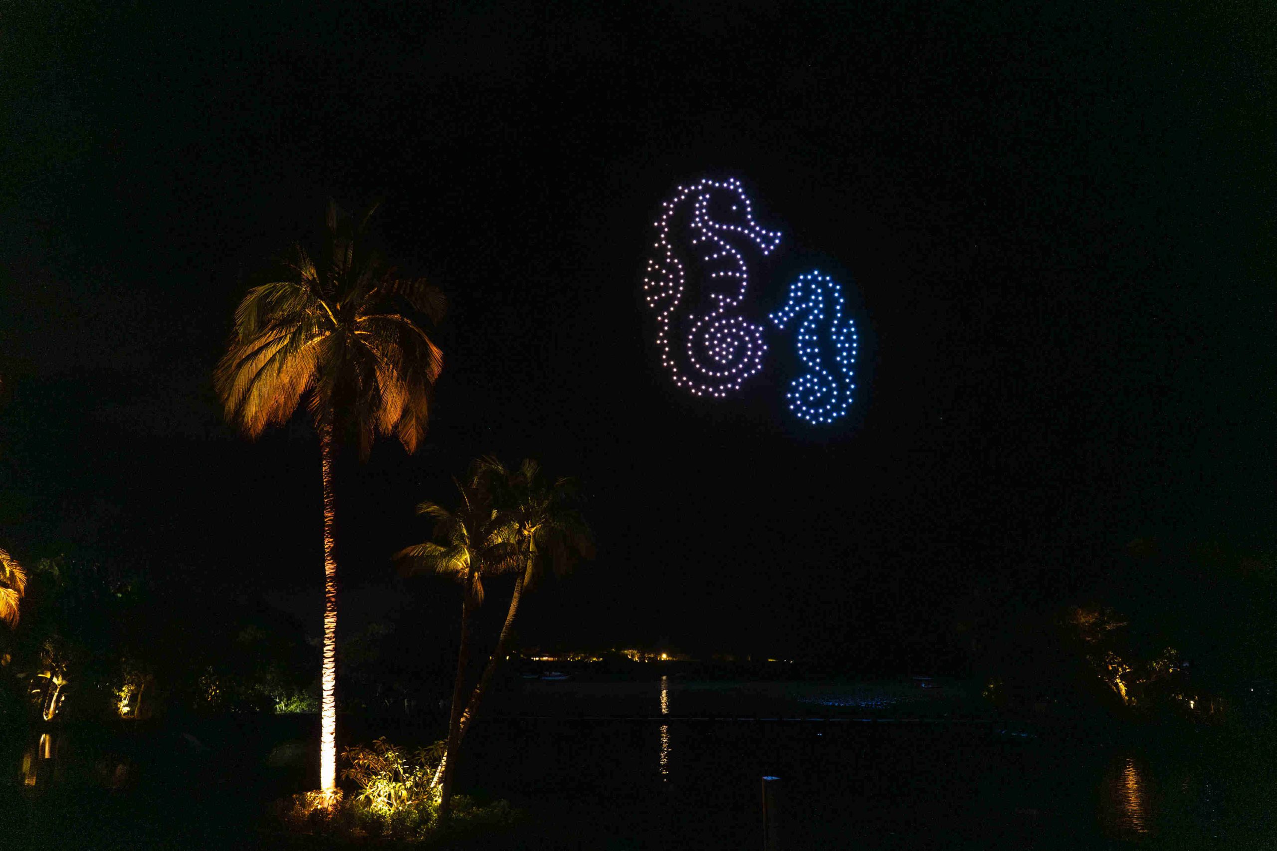 Night sky features two seahorse shapes made of illuminated drones, one purple and one blue, above palm trees, creating a serene, magical atmosphere.