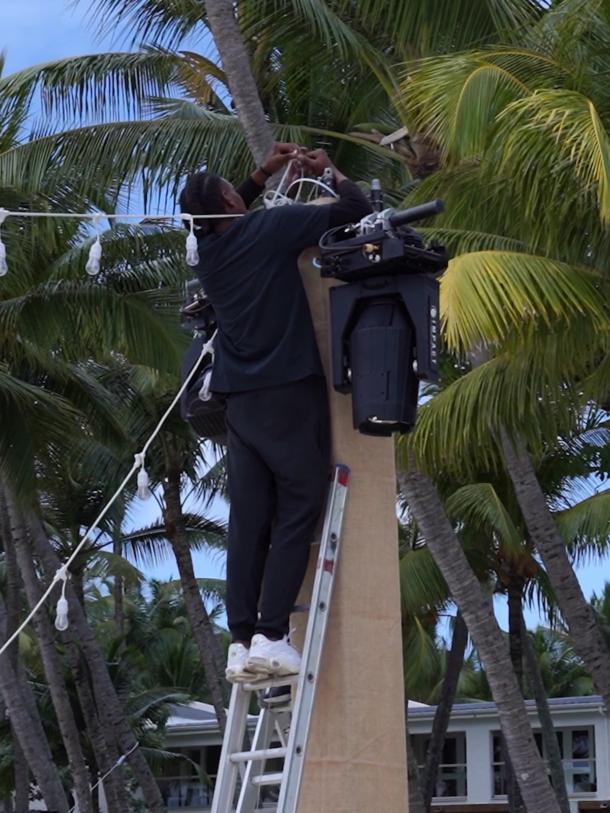 A person stands on a ladder, adjusting string lights attached to a palm tree amidst a tropical setting. The scene feels serene and focused.