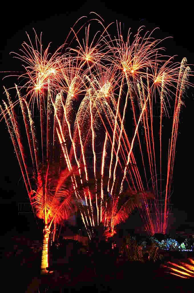 Vibrant red fireworks explode in a night sky above silhouetted palm trees, creating a festive and celebratory atmosphere.