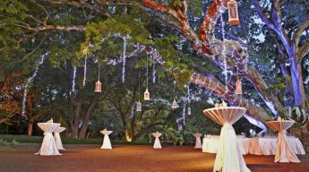 Elegant outdoor wedding venue with tall cocktail tables covered in white cloth. Trees draped in fairy lights and lanterns create a magical ambiance.