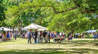 People gathered in a sunny park with large trees, dressed in formal wear. Some are seated on benches; others stand near white umbrellas, creating a festive atmosphere.